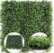 20x20" Premium Artificial Boxwood Panels - Lush Green, UV Resistant & Weatherproof - Ideal for Backyard, Balcony & Patio Privacy Screens, Wall Decor, and Event Backdrops, Floral Home by Artificial Flowers